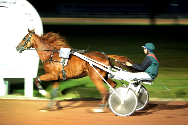 Sept courses au trot attelé figurent au programme...|Photo © Jean‐Paul Epinette ‐ icimedia@free.fr Sept courses au trot attelé figurent au programme...|Photo © Jean‐Paul Epinette ‐ icimedia@free.fr