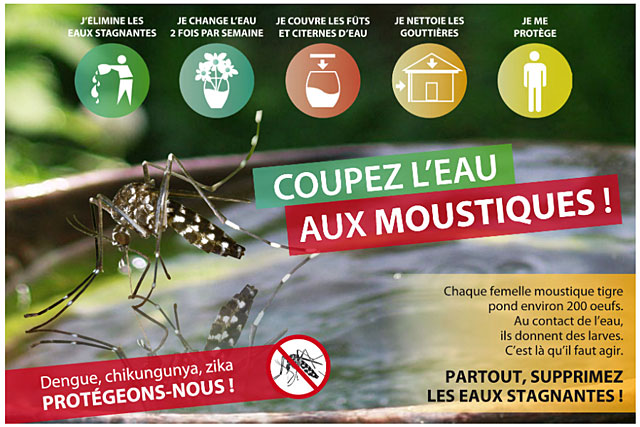 Le moustique tigre prolifère près des maisons et pond dans des petites quantités d'eau...|Photo ARS