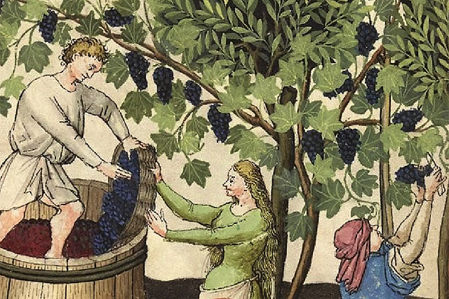 Dès le Moyen Âge, la viticulture a été essentielle pour l'économie aquitaine. - Manuscrit anonyme vers 1390© Gallica-BnF
